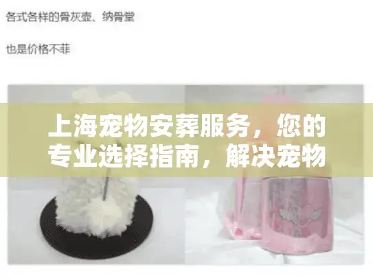 上海宠物安葬服务，您的专业选择指南，解决宠物离世难题