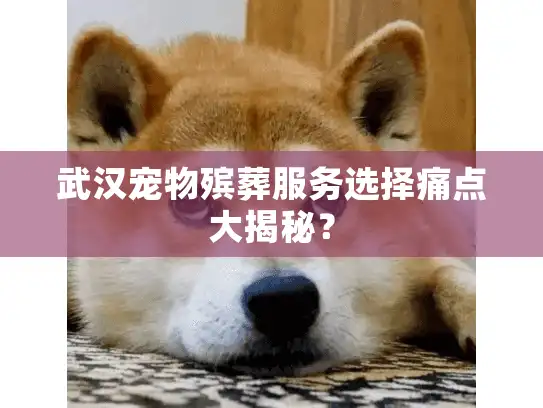武汉宠物殡葬服务选择痛点大揭秘？