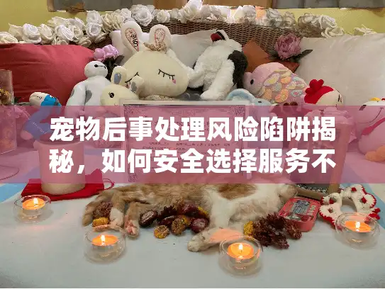 宠物后事处理风险陷阱揭秘，如何安全选择服务不踩坑？