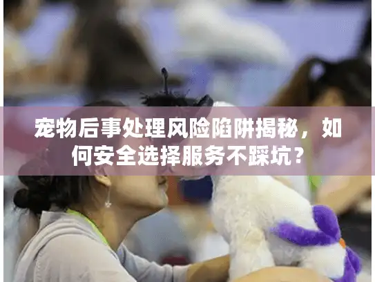 宠物后事处理风险陷阱揭秘，如何安全选择服务不踩坑？