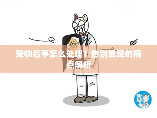 宠物后事怎么处理？告别爱宠的痛点解析