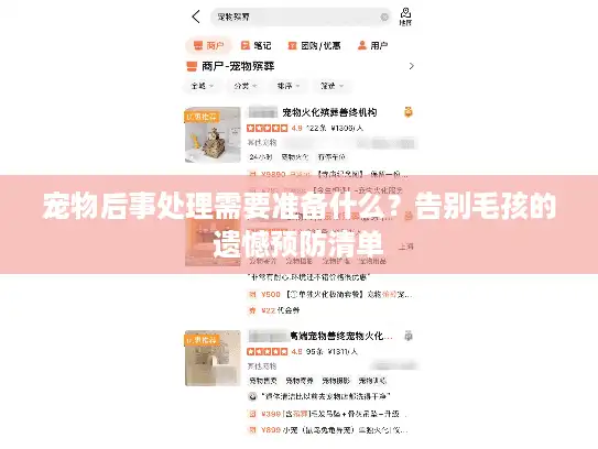 宠物后事处理需要准备什么？告别毛孩的遗憾预防清单