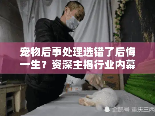 宠物后事处理选错了后悔一生？资深主揭行业内幕避坑点