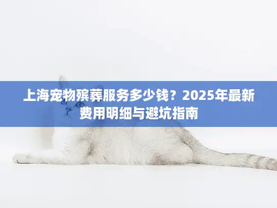 上海宠物殡葬服务多少钱？2025年最新费用明细与避坑指南