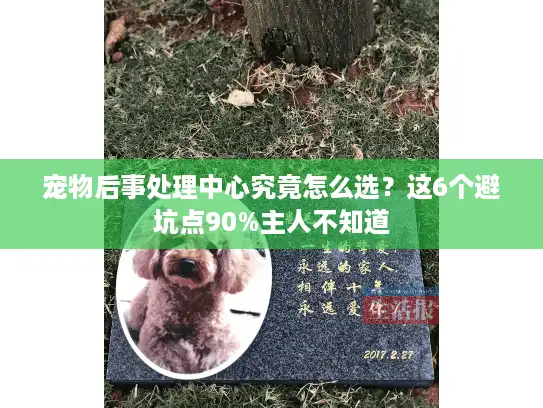 宠物后事处理中心究竟怎么选？这6个避坑点90%主人不知道