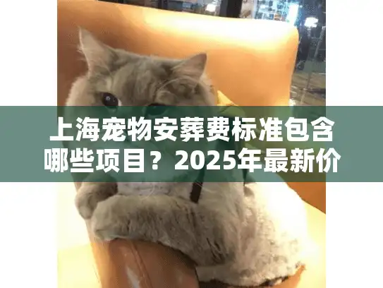 上海宠物安葬费标准包含哪些项目？2025年最新价格参考！
