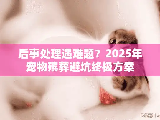 后事处理遇难题？2025年宠物殡葬避坑终极方案