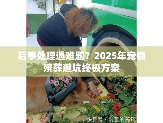 后事处理遇难题？2025年宠物殡葬避坑终极方案