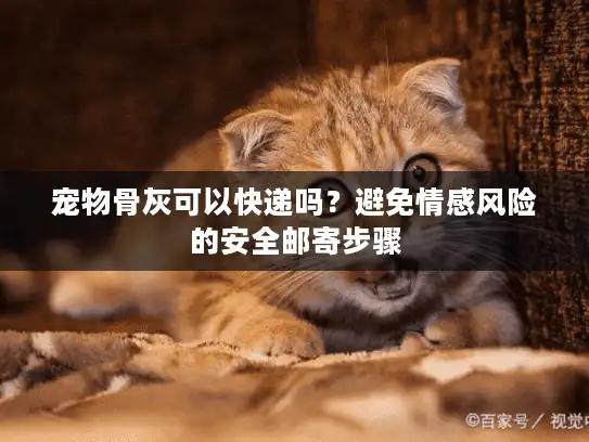 宠物骨灰可以快递吗？避免情感风险的安全邮寄步骤