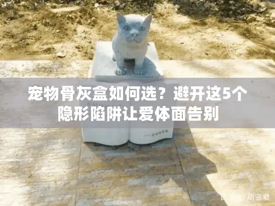 宠物骨灰盒如何选？避开这5个隐形陷阱让爱体面告别