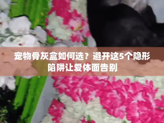宠物骨灰盒如何选？避开这5个隐形陷阱让爱体面告别