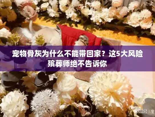 宠物骨灰为什么不能带回家？这5大风险殡葬师绝不告诉你