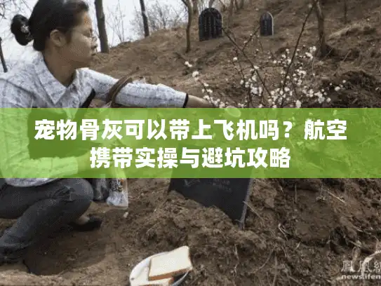 宠物骨灰可以带上飞机吗？航空携带实操与避坑攻略