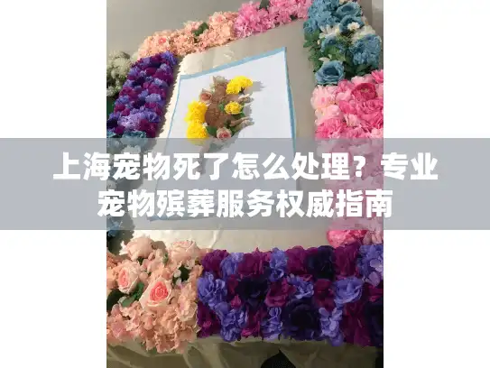 上海宠物死了怎么处理？专业宠物殡葬服务权威指南