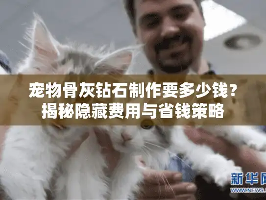 宠物骨灰钻石制作要多少钱？揭秘隐藏费用与省钱策略
