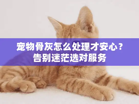 宠物骨灰怎么处理才安心？告别迷茫选对服务