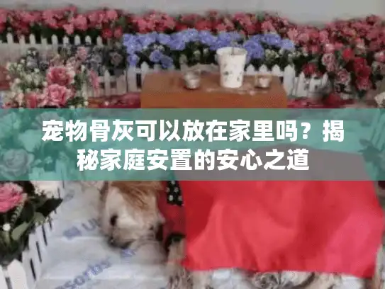 宠物骨灰可以放在家里吗？揭秘家庭安置的安心之道