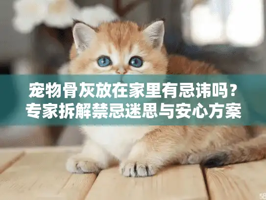 宠物骨灰放在家里有忌讳吗？专家拆解禁忌迷思与安心方案