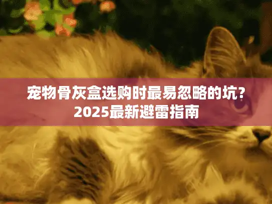 宠物骨灰盒选购时最易忽略的坑？2025最新避雷指南