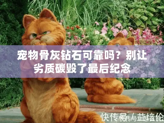 宠物骨灰钻石可靠吗？别让劣质碳毁了最后纪念