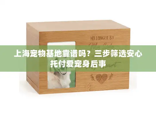 上海宠物基地靠谱吗？三步筛选安心托付爱宠身后事