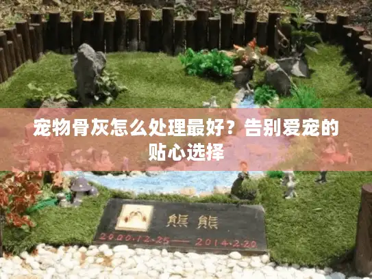 宠物骨灰怎么处理最好？告别爱宠的贴心选择