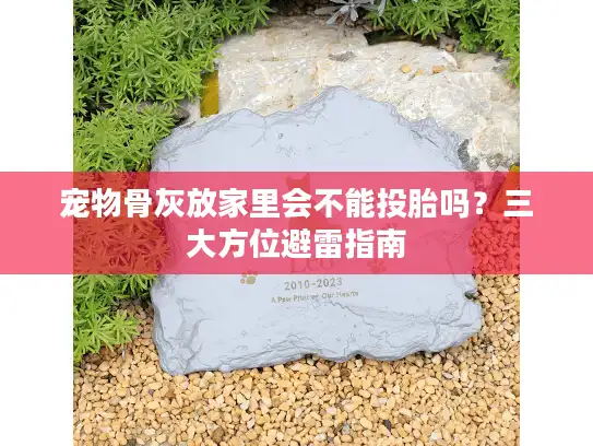 宠物骨灰放家里会不能投胎吗？三大方位避雷指南