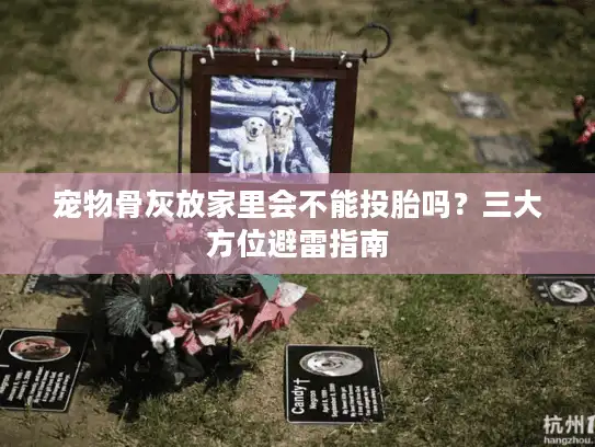 宠物骨灰放家里会不能投胎吗？三大方位避雷指南