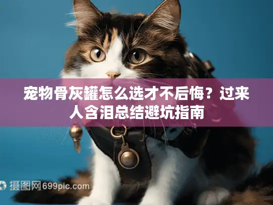 宠物骨灰罐怎么选才不后悔？过来人含泪总结避坑指南