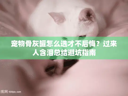 宠物骨灰罐怎么选才不后悔？过来人含泪总结避坑指南