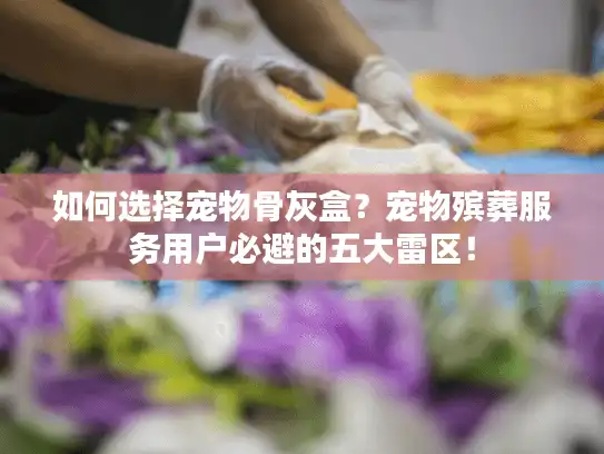 如何选择宠物骨灰盒？宠物殡葬服务用户必避的五大雷区！