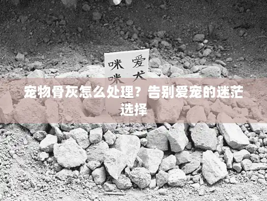 宠物骨灰怎么处理？告别爱宠的迷茫选择