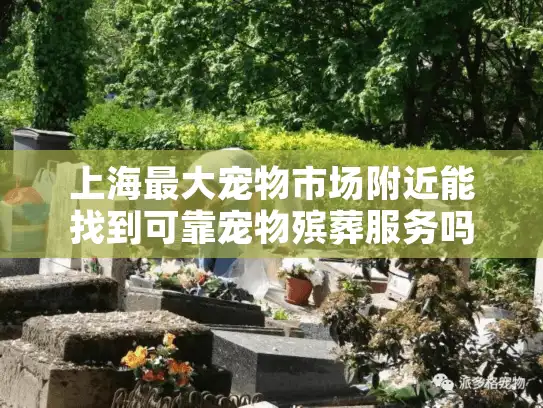 上海最大宠物市场附近能找到可靠宠物殡葬服务吗？