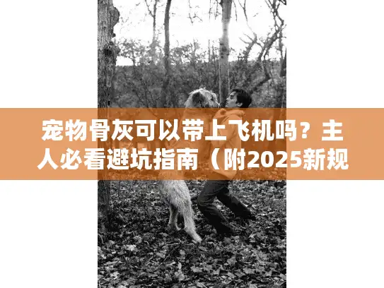 宠物骨灰可以带上飞机吗？主人必看避坑指南（附2025新规）