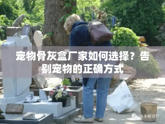 宠物骨灰盒厂家如何选择？告别宠物的正确方式