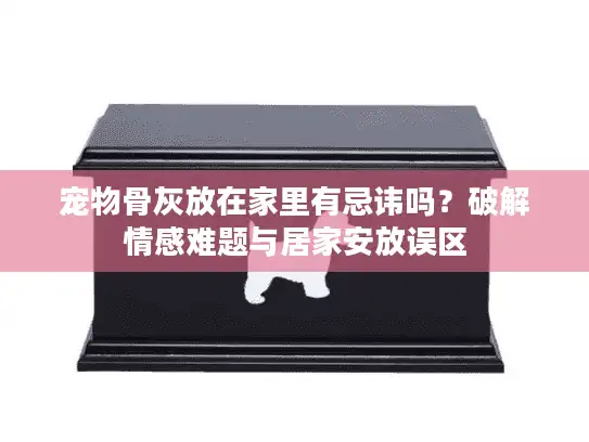 宠物骨灰放在家里有忌讳吗？破解情感难题与居家安放误区