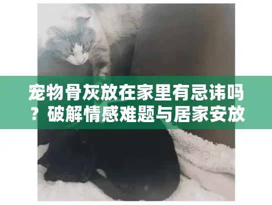 宠物骨灰放在家里有忌讳吗？破解情感难题与居家安放误区