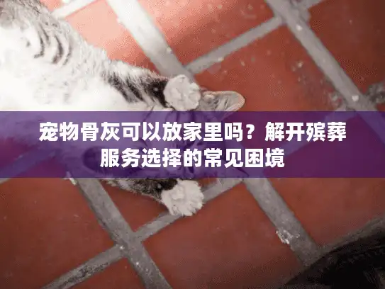 宠物骨灰可以放家里吗？解开殡葬服务选择的常见困境