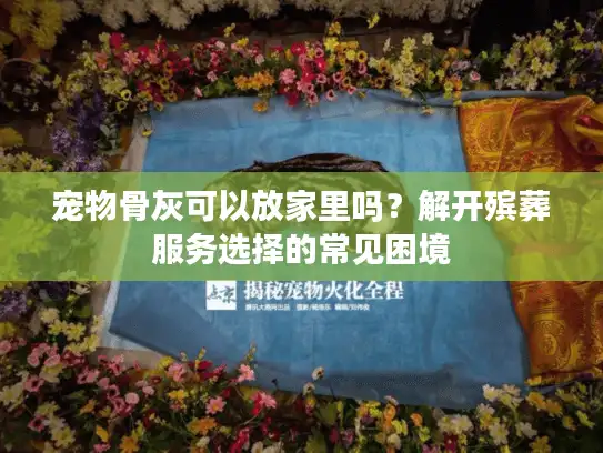 宠物骨灰可以放家里吗？解开殡葬服务选择的常见困境