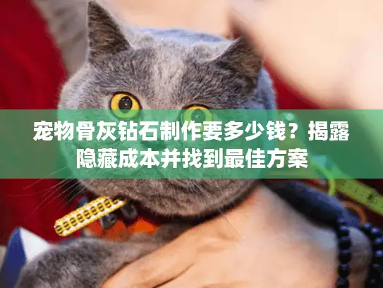 宠物骨灰钻石制作要多少钱？揭露隐藏成本并找到最佳方案