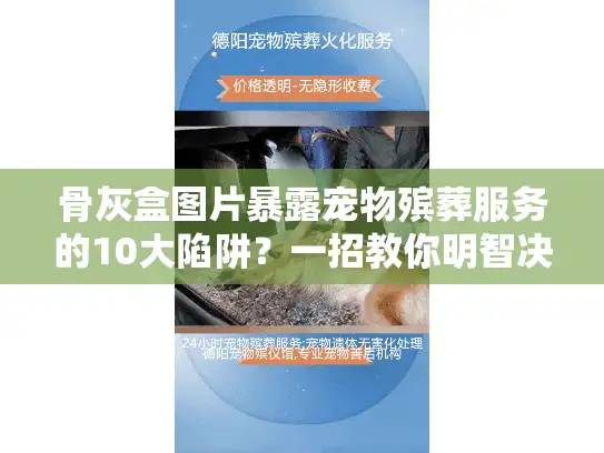 骨灰盒图片暴露宠物殡葬服务的10大陷阱？一招教你明智决策！