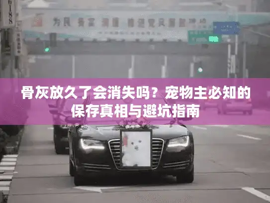 骨灰放久了会消失吗？宠物主必知的保存真相与避坑指南