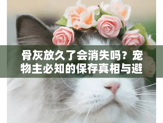 骨灰放久了会消失吗？宠物主必知的保存真相与避坑指南
