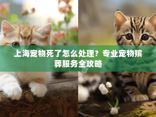 上海宠物死了怎么处理？专业宠物殡葬服务全攻略