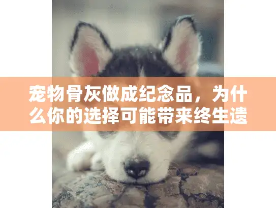 宠物骨灰做成纪念品，为什么你的选择可能带来终生遗憾？