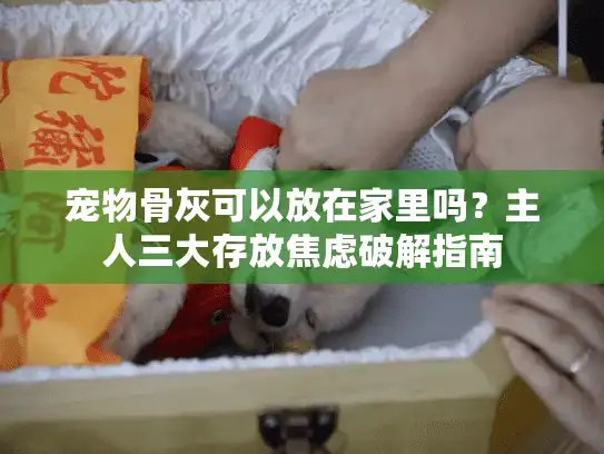 宠物骨灰可以放在家里吗？主人三大存放焦虑破解指南