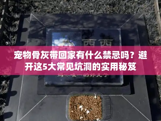 宠物骨灰带回家有什么禁忌吗？避开这5大常见坑洞的实用秘笈