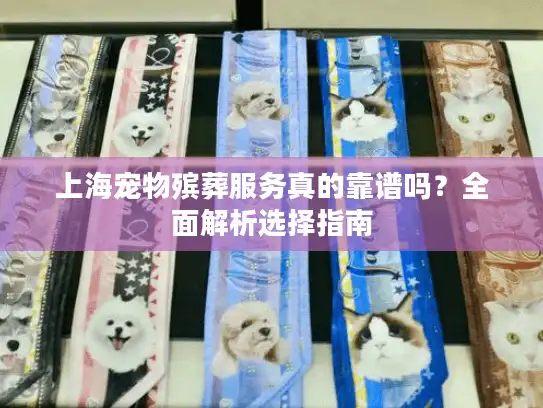 上海宠物殡葬服务真的靠谱吗？全面解析选择指南