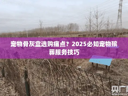 宠物骨灰盒选购痛点？2025必知宠物殡葬服务技巧