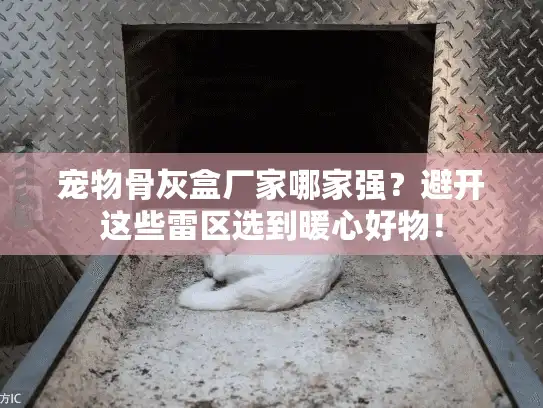 宠物骨灰盒厂家哪家强？避开这些雷区选到暖心好物！